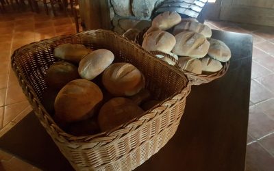 Obisk Hiše dobrega kruha