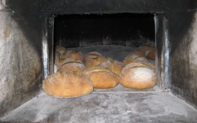 Pekli smo kruh